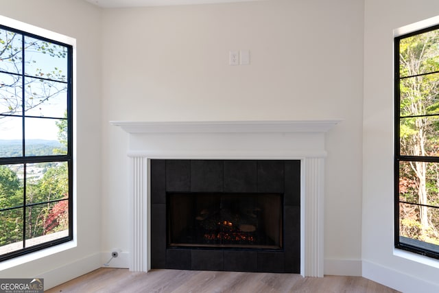 details with hardwood / wood-style flooring and a tile fireplace