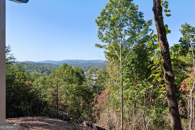 view of mountain feature