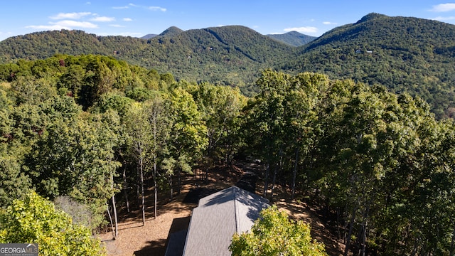 property view of mountains