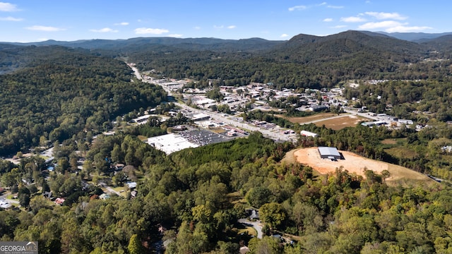 birds eye view of property with a mountain view