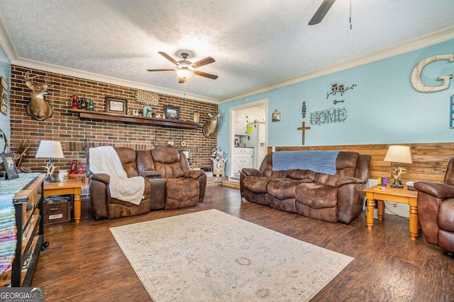 living room featuring ceiling fan, dark hardwood / wood-style floors, ornamental molding, and a textured ceiling