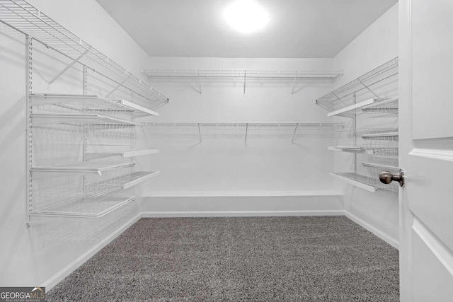 spacious closet with carpet floors