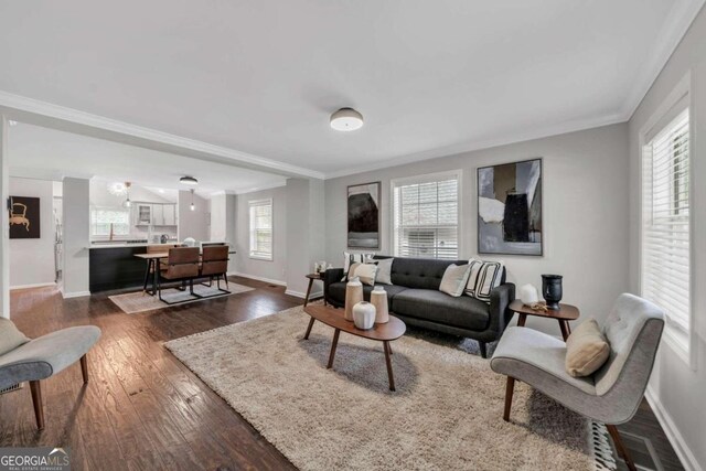 living room with crown molding and dark wood-type flooring