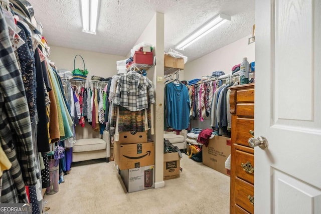 spacious closet with light colored carpet