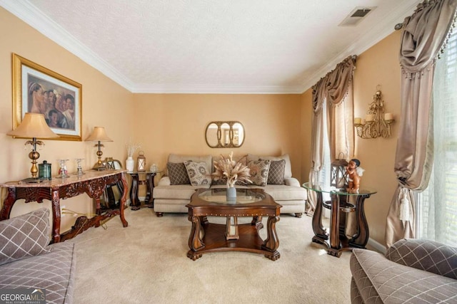 living room with ornamental molding, a textured ceiling, and carpet flooring