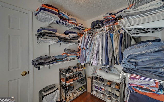 spacious closet featuring dark wood-type flooring