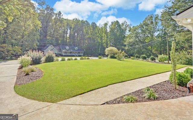 view of yard