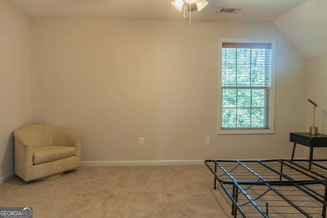 interior space with a textured ceiling and vaulted ceiling