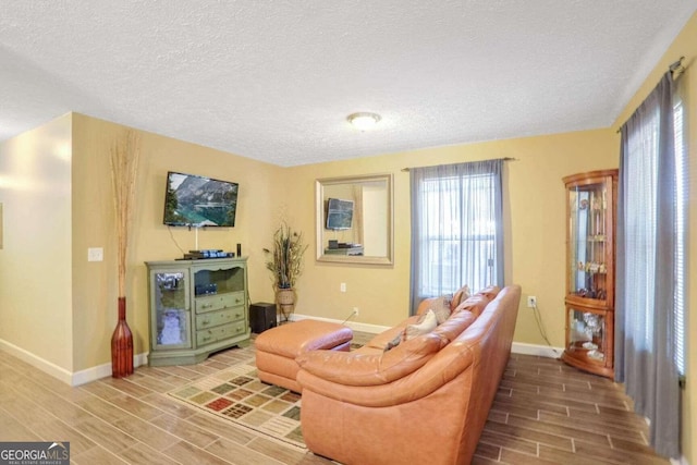 living room with hardwood / wood-style flooring and a textured ceiling