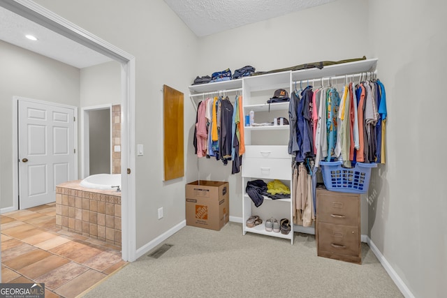 spacious closet with carpet