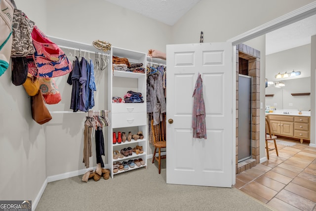 spacious closet with light carpet