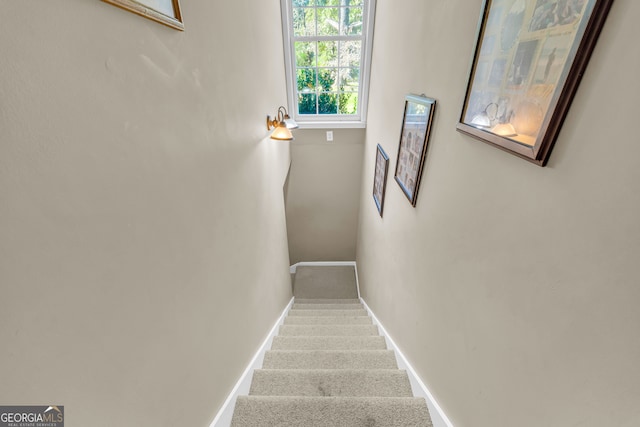 stairway with carpet flooring