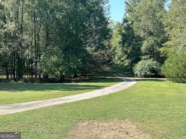 view of community with a yard