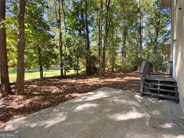 view of yard with a patio