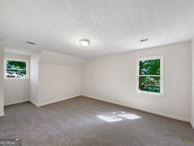 carpeted spare room with vaulted ceiling, a textured ceiling, and a healthy amount of sunlight