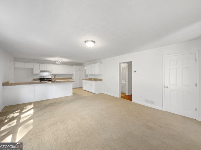 unfurnished living room featuring light carpet and sink