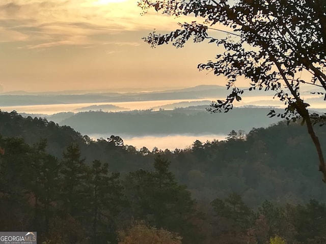 view of nature at dusk