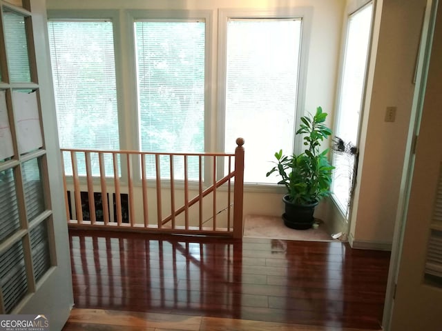 interior space featuring a healthy amount of sunlight and wood-type flooring