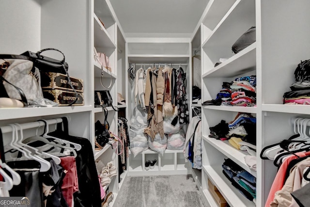 view of walk in closet