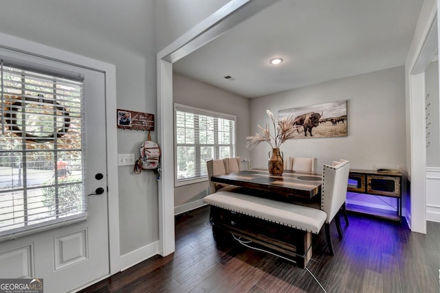 dining room featuring dark wood-type flooring and a wealth of natural light