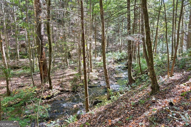 view of local wilderness featuring a wooded view