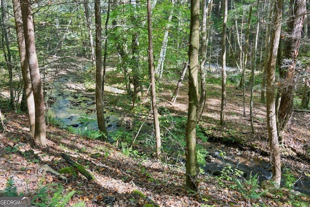 view of nature featuring a wooded view