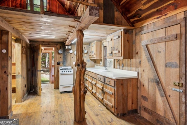 basement with wood walls, wood ceiling, light hardwood / wood-style flooring, and sink