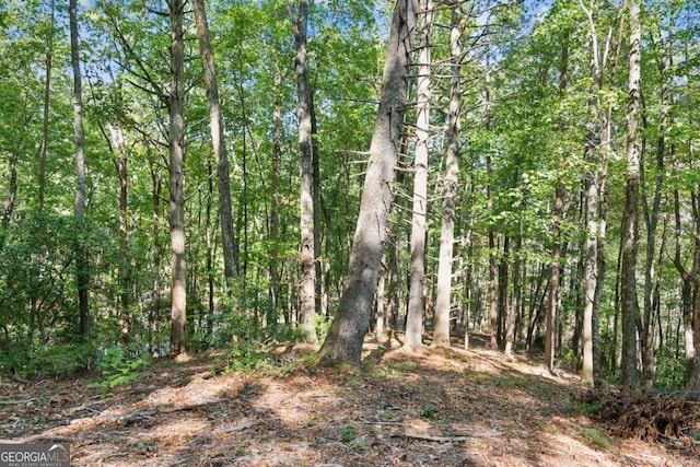 view of local wilderness with a wooded view