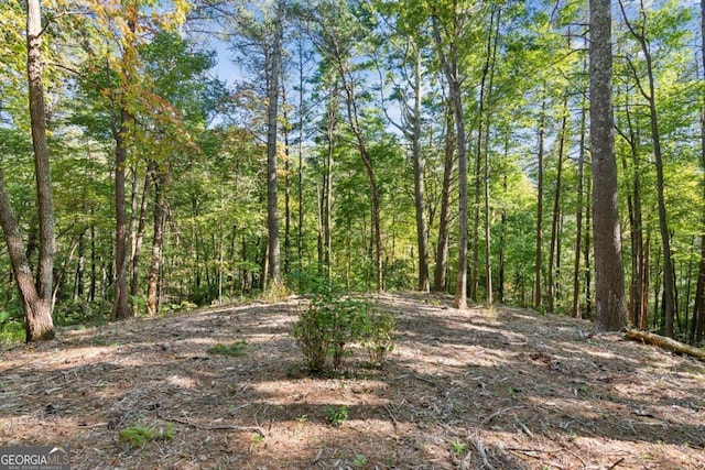 view of landscape with a view of trees