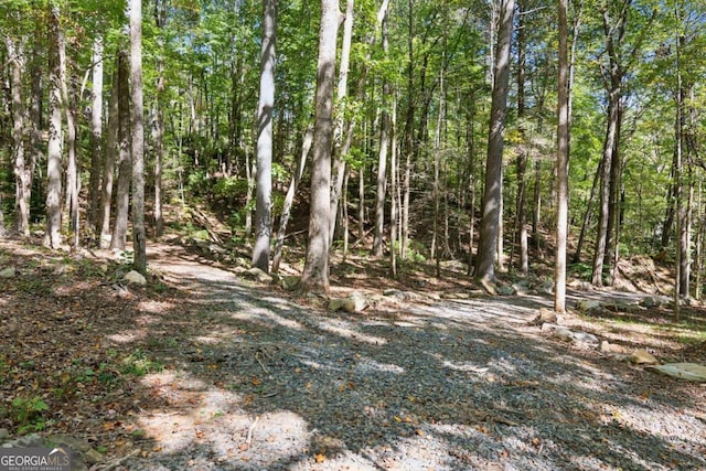 view of landscape with a view of trees