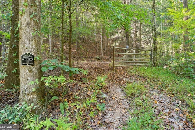 view of local wilderness with a wooded view