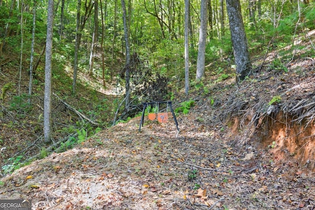 view of local wilderness featuring a wooded view