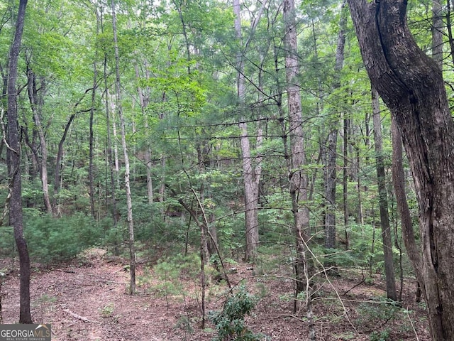 view of nature featuring a forest view