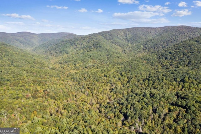 property view of mountains featuring a forest view