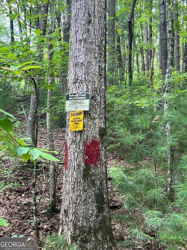 view of local wilderness