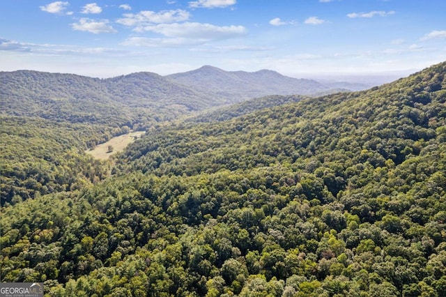 mountain view with a forest view