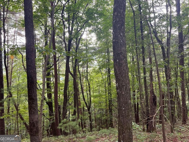 view of nature featuring a forest view