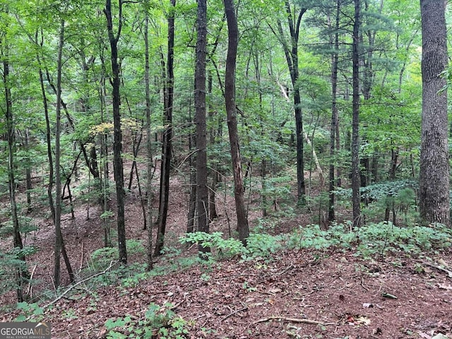 view of nature featuring a forest view