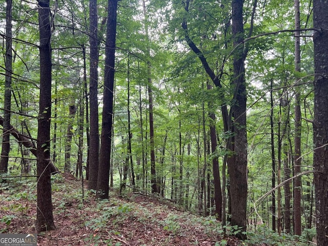 view of landscape featuring a wooded view