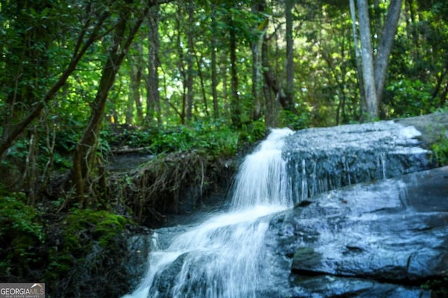 view of local wilderness