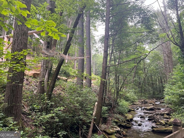 view of nature featuring a view of trees