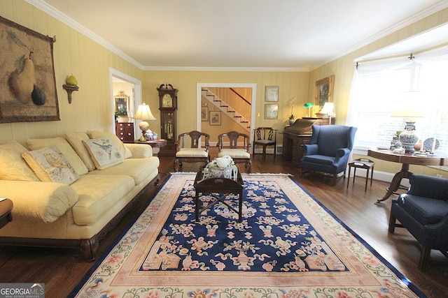 living room featuring dark wood-type flooring and crown molding