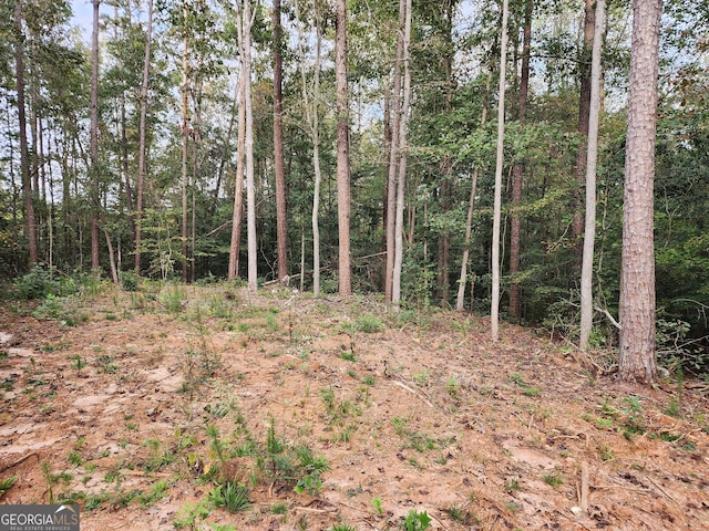 0 Morris Trl, Carnesville GA, 30521 land for sale