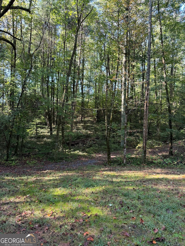 Listing photo 3 for 0 Pleasant Oak Trl, Ellijay GA 30540