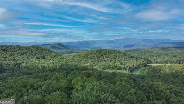 1878 Sweetwater Dr, Clarkesville, GA 30523