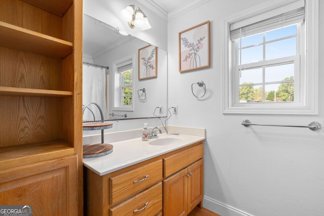 bathroom featuring ornamental molding and vanity