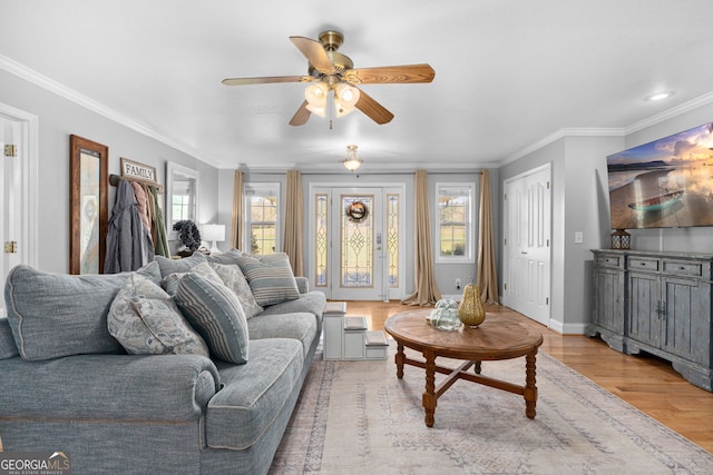 living room with ornamental molding, ceiling fan, and light hardwood / wood-style floors