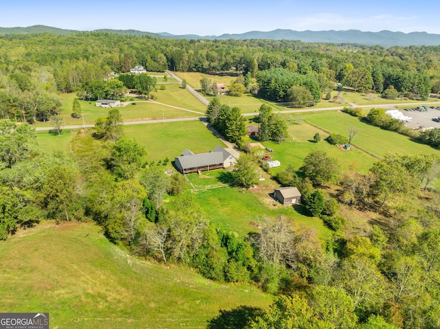 drone / aerial view featuring a mountain view