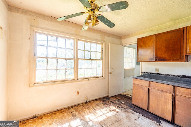 kitchen with ceiling fan, a textured ceiling, hardwood / wood-style flooring, and a healthy amount of sunlight