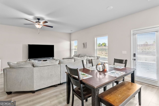 dining room with ceiling fan and light hardwood / wood-style floors